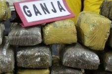 Ditresnarkoba Polda NTB berhasil membekuk Tersangka pelaku Kurir ganja seberat 20 Kg, (23/7/24)