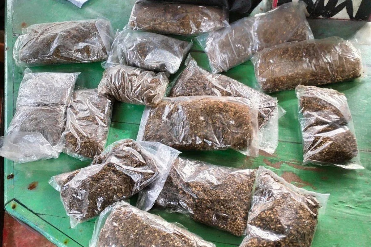 Paket Ganja dibungkus di dalam plastik bening dengan berat 1.180 gram, (27/7/24)