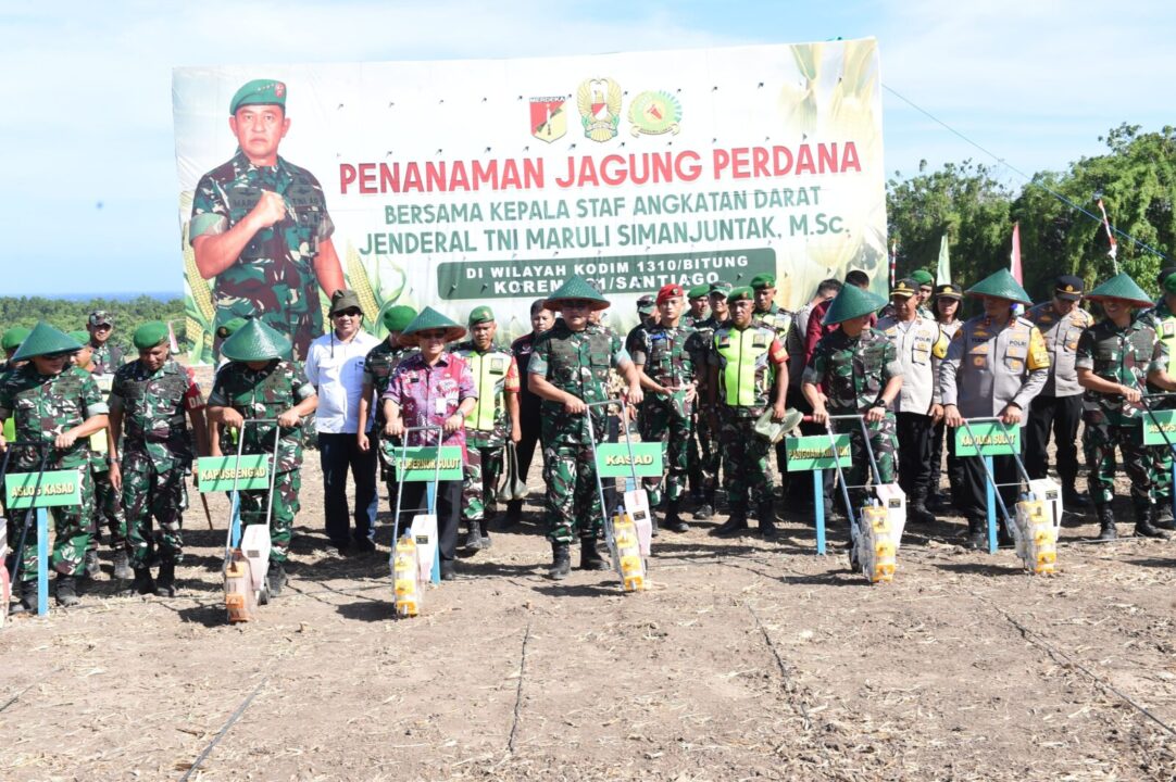 Pelaksanaan program ketahanan pangan oleh TNI AD, di Desa Kema Satu, Kecamatan Kema, Kabupaten Minahasa Utara, Sulawesi Utara, pada Jumat (13/9/2024)