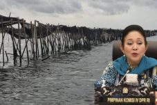 Titiek Soeharto Desak KKP Tindak Tegas Pembangunan Pagar Laut di Tangerang