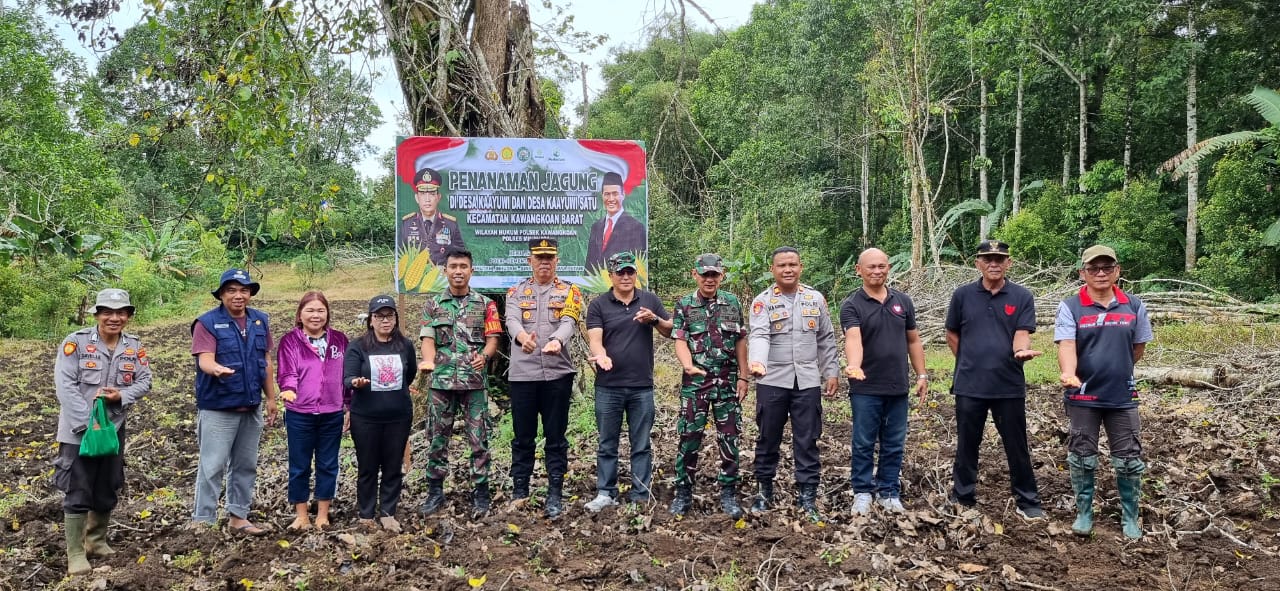 Polri Dukung Ketahanan Pangan, Waka Polres Minahasa Tanam Jagung di Kayuuwi