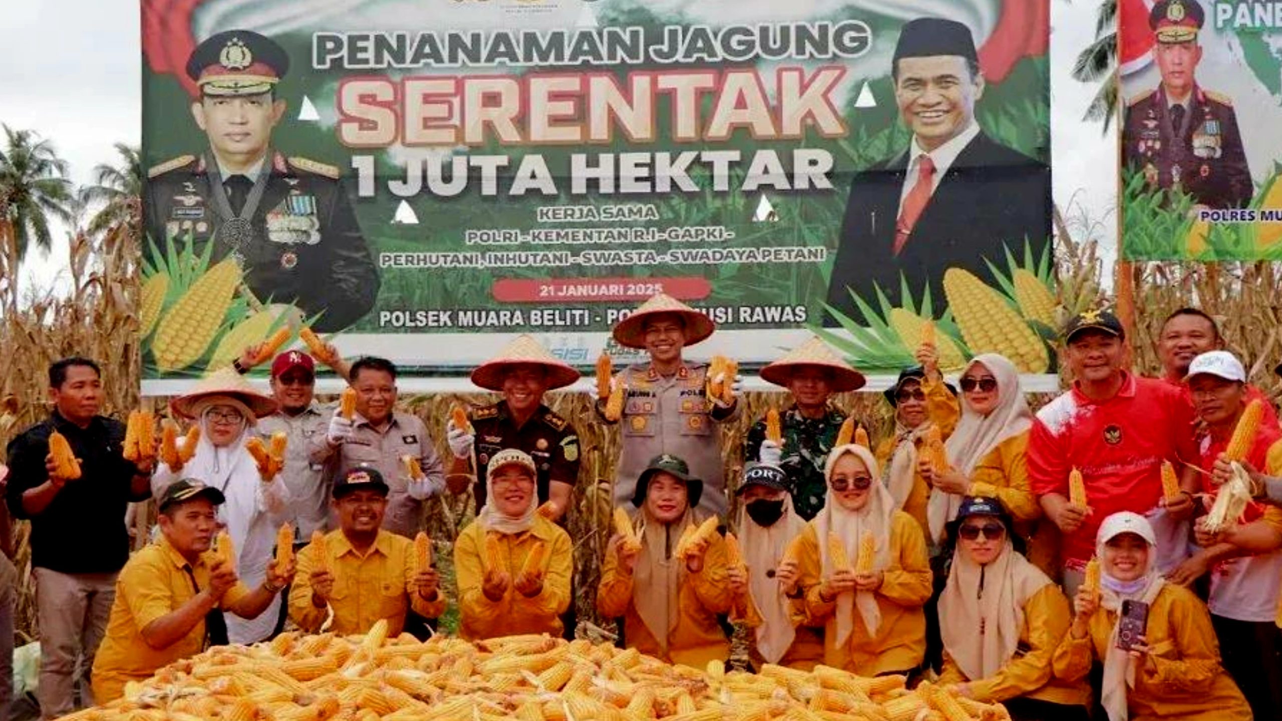Panen Raya Tahap II di Desa Air Satan Melimpah,Kadis TPHP Perkuat Program Ketahanan Pangan