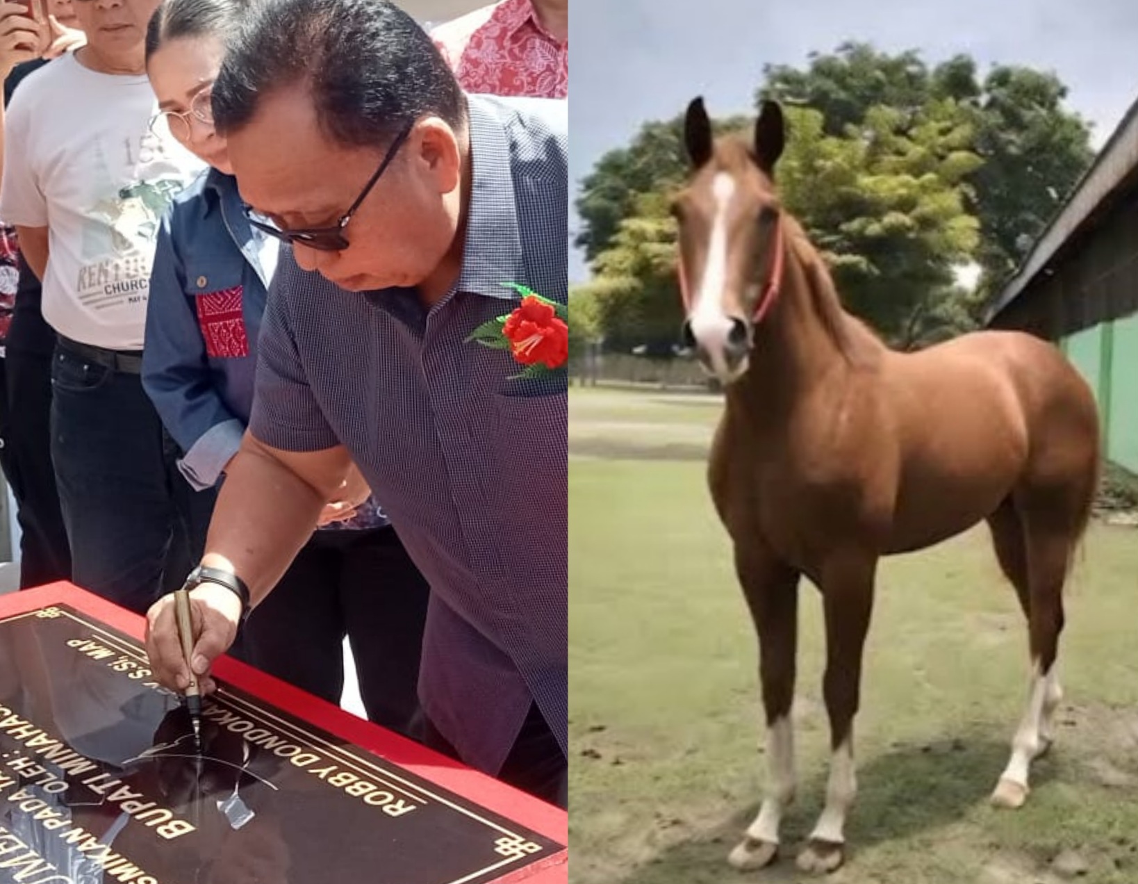 “Milord Diabadikan! Kuda Pacu Penuh Prestasi Kini Berdiri Gagah di Jantung Minahasa”