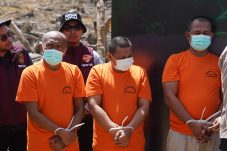 Kebun Sawit di Hutan Lindung, Polda Riau Tangkap 4 Perambah