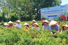 Pertanian Maju! RPKT Panen Raya, Gudang Baru Dimulai