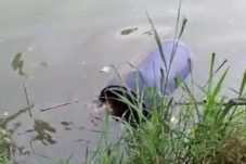 Mayat Perempuan dalam Tong Biru Gegerkan Warga Tangerang