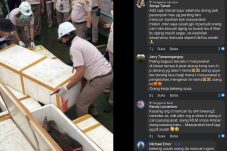 Balai Karantina Sulut Gagalkan Penyelundupan 800 Kg Daging Celeng di Pelabuhan Bitung, Warganet Geram