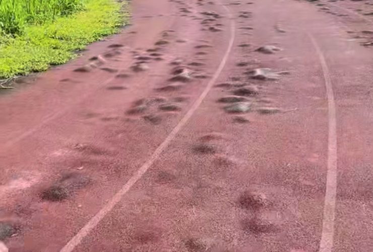 UNIMA, Tondano, Minahasa, Kejati Sulut, Eddy Rompas, Lembaga Investigasi Negara, proyek miliaran, stadion rusak, Kemendikbudristek, infrastruktur pendidikan, viral