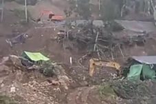 PETI Rotan Hill Kebal Hukum, Tujuh Excavator Diduga Dikomandoi Elo Korua Menggerogoti Mitra