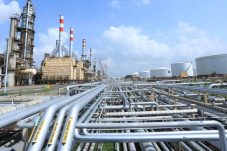 Pemerintah Dorong Swasembada Energi melalui Komoditas Strategis