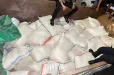 9,8 Ton Cap Tikus Asal Manado Disita dalam Operasi Pekat Mahakam 2026