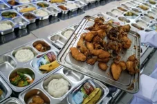 Integrasi Pangan Lokal untuk Keberlanjutan Program MBG