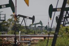 Pemerintah Tegaskan Swasembada Energi Makin Dekat