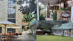 Di Kota Tomohon Ternyata Bukan Hanya Dingin, Tapi Juga Punya Rahasia Kuliner Bara Api