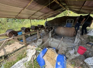 Polres Tomohon Gerebek Tambang Ilegal di Thatiti Tombariri, Tiga Pelaku Ditangkap