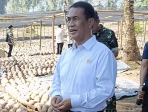 Aktivis Desak APH Usut Dugaan Penyimpangan Program Bibit Kelapa di Sulut