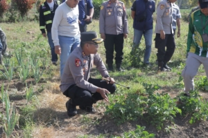 Dukung Ketahanan Pangan Nasional, Kapolres Kotamobagu Tinjau Lahan Penanaman Bawang di Passi Timur