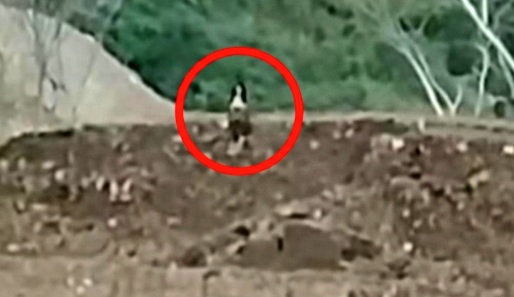 Viral Dikira Kuntilanak, Sosok Perempuan di Ratatotok Ternyata Istri yang Menunggu Suami Pulang dari Tambang