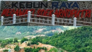 Kebun Raya Ratatotok Warisan Tambang yang Kini Dihadang Ancaman PETI