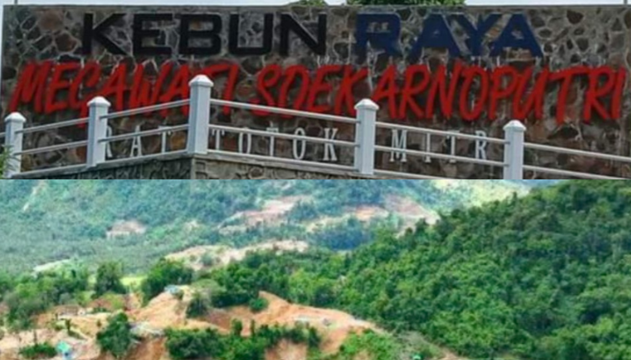 Kebun Raya Ratatotok Warisan Tambang yang Kini Dihadang Ancaman PETI