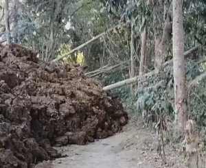 PETI di Jalur Pos Kehutanan Ratatotok Timbun Jalan dan Saluran Air